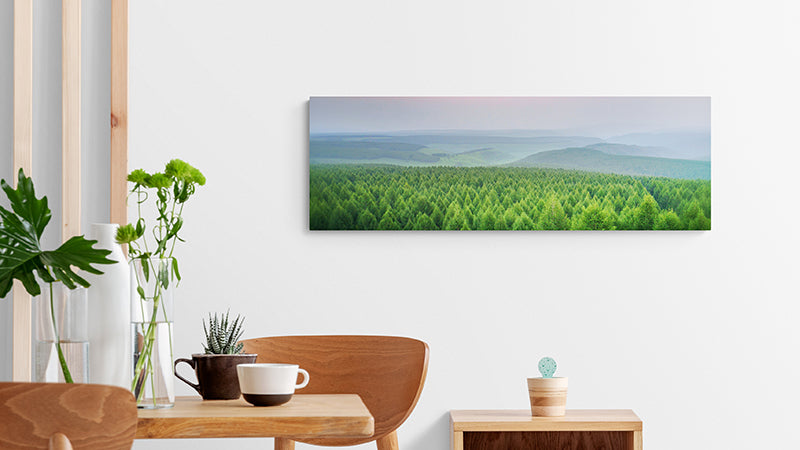 12 x 36 Canvas Prints