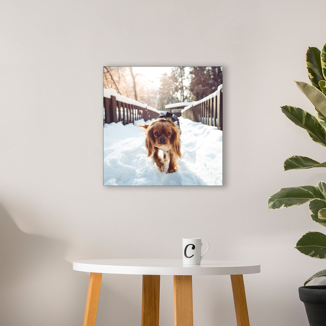 18x18 photo print