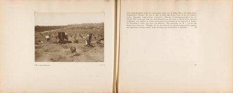 Pages 136 and 137 of photo book of the General Association of Rubber Planters on the East Coast of Sumatra (A.V.R.O.S.), J.W. Meyster, c. 1924 - c. 1925 Canvas Print