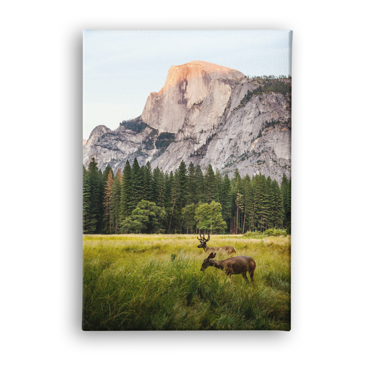 http://canvasprints.com/cdn/shop/products/18x12CanvasPrint.png?v=1661439134