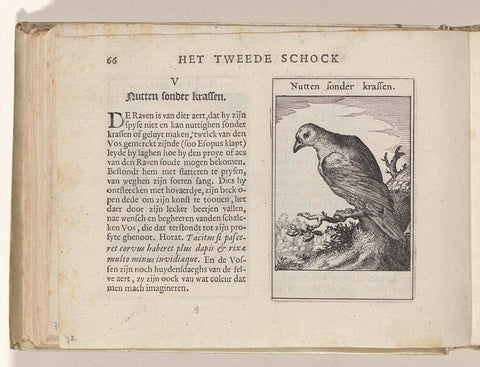 V Nutten sonder krassen, Roemer Visscher, 1614 Canvas Print