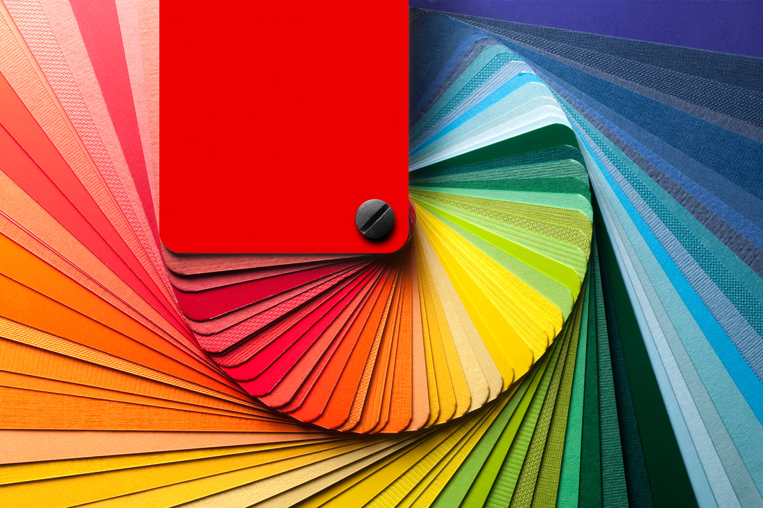 Color Theory 101: Understanding the Basics for Better Photography