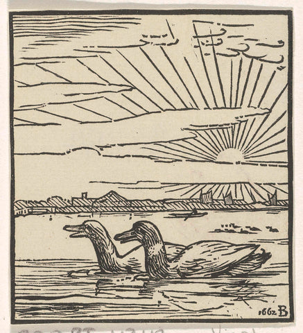 Two swimming ducks, Dirck de Bray, 1662 Canvas Print