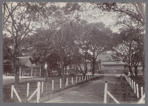 Buildings between trees, anonymous, c. 1900 - 1919 Canvas Print