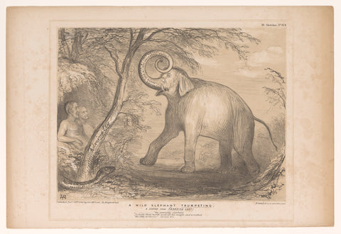 Cartoon with Lord Ellenborough as a wild elephant, John Doyle, 1844 Canvas Print