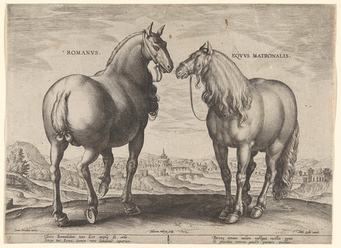 Horse from Rome and a carrier mare, Hieronymus Wierix, c. 1583 - c. 1587 Canvas Print