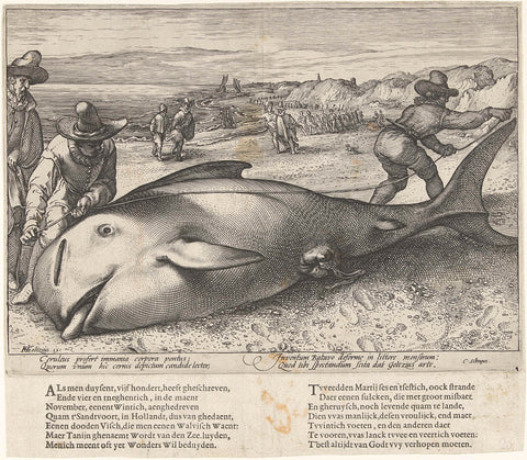 Stranded pilot whale on the beach near Zandvoort, 1594, Hendrick Goltzius (workshop of), 1594 Canvas Print