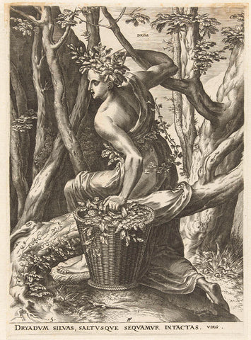 Dryas, Cornelis Cort, 1564 Canvas Print