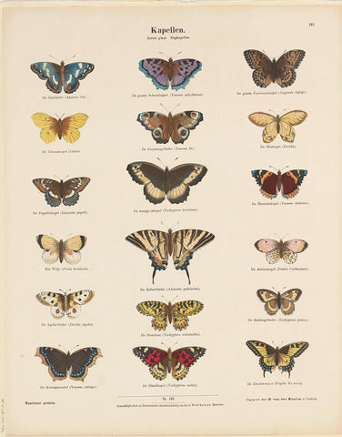 Butterflies, Ernst Fröhlich, 1843 - c. 1880 Canvas Print