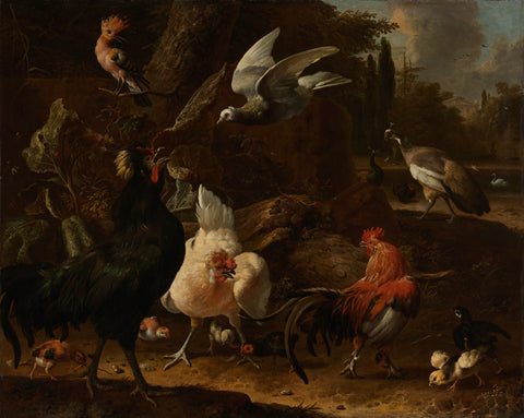 Birds in a Park, Melchior d'Hondecoeter, 1686 Canvas Print