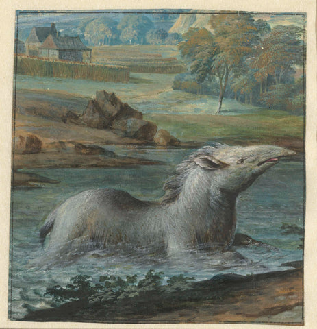 Tapir in the Water, Willem Hendrik Wilhelmus van Royen, 1706 Canvas Print