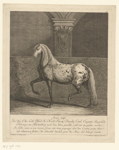 Singular horse of Karl Eugen von Württemberg, Johann Elias Ridinger, 1746 - 1780 Canvas Print