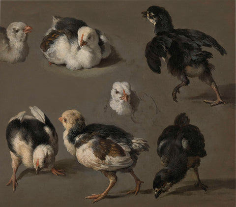 Seven Chicks, Melchior d'Hondecoeter, c. 1665 - c. 1668 Canvas Print