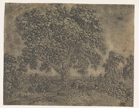 The Large Tree, Hercules Segers, c. 1628 - c. 1629 Canvas Print