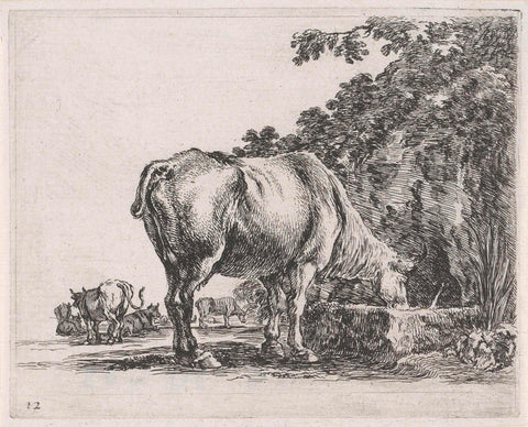 Drinking cow in a landscape with more cows, Stefano della Bella, 1632 - 1664 Canvas Print