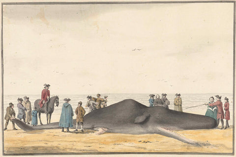 Washed up sperm whale (cachelot) on the beach between Zandvoort and Wijk aan Zee, 20 February 1762, seen from the front, Vincent Jansz. van der Vinne, 1762 Canvas Print