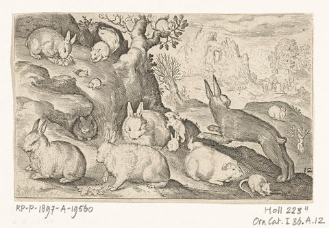 Rabbits, squirrel, guinea pig and mouse, Nicolaes de Bruyn, 1621 Canvas Print