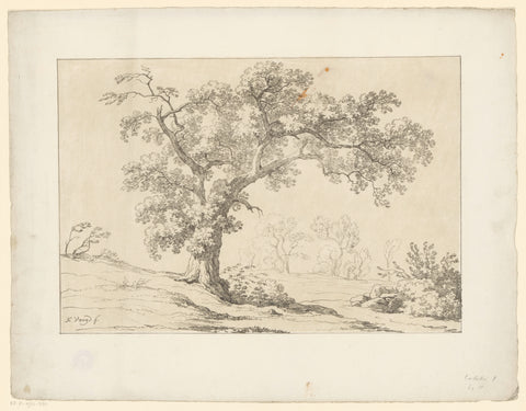 Tree in landscape, Hendrik Voogd, 1820 Canvas Print