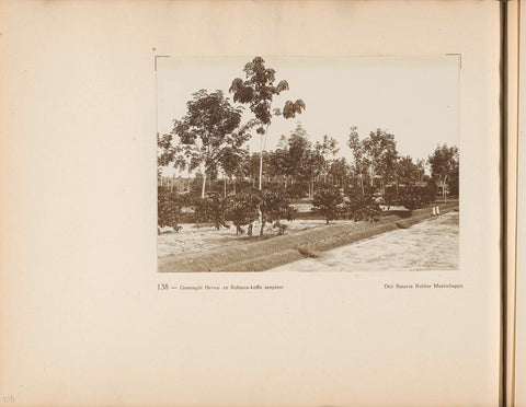 Page 138 of photo book of the General Association of Rubber Planters on the East Coast of Sumatra (A.V.R.O.S.), J.W. Meyster, c. 1924 - c. 1925 Canvas Print