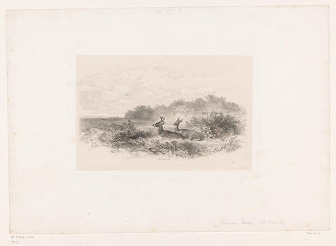 Landscape with two white-tailed deer, Karl Bodmer, 1847 Canvas Print