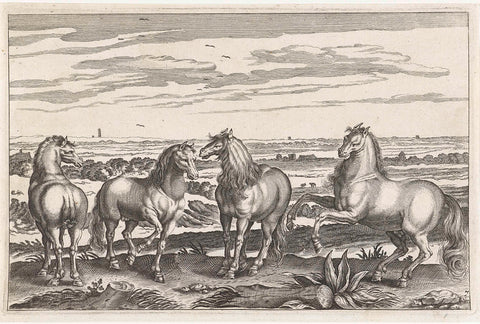 Horses, Adriaen Collaert, 1628 - 1679 Canvas Print