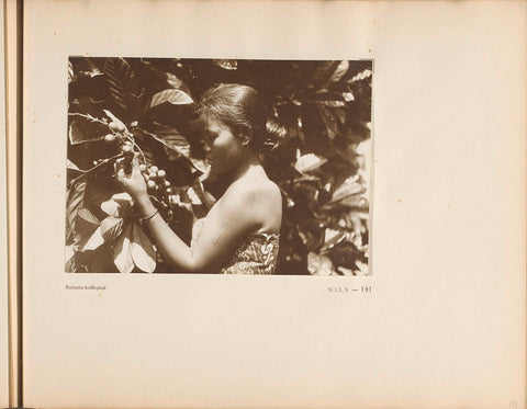 Page 141 of photo book of the General Association of Rubber Planters on the East Coast of Sumatra (A.V.R.O.S.), J.W. Meyster, c. 1924 - c. 1925 Canvas Print