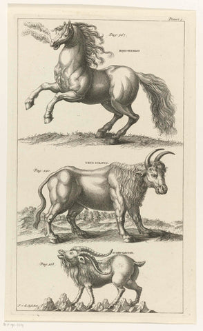 Wild horse, an ox and a stone goat, Johannes van der Spyck, 1736 - 1761 Canvas Print