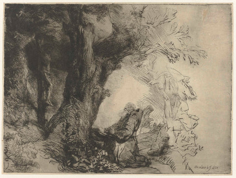 Saint Francis beneath a Tree, Praying, Rembrandt van Rijn, 1657 Canvas Print