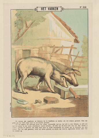 The pig, Gordinne, 1894 - 1959 Canvas Print