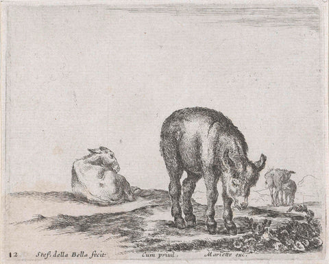 Donkeys, Stefano della Bella, 1620-1664 Canvas Print