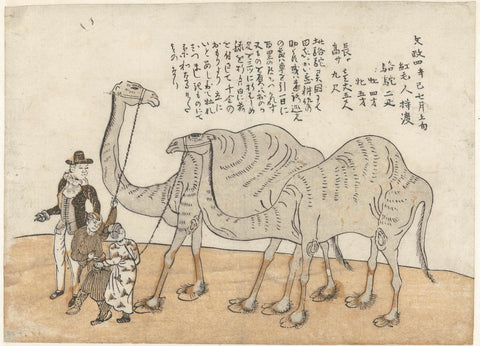 Camel and Dromedary, anonymous, c. 1821 Canvas Print