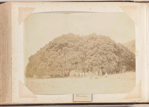 Europeans posing at Wonderboom in South Africa, anonymous, c. 1890 - c. 1920 Canvas Print