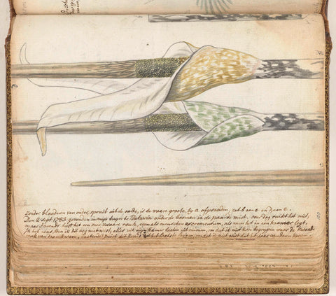 Riekend herb, Jan Brandes, 1783 Canvas Print