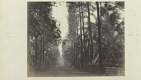 Padang. Street, Woodbury &Page, 1863 - 1869 Canvas Print