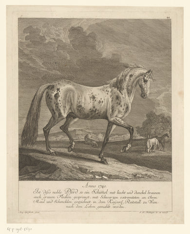 Special horse, Johann Elias Ridinger, 1740 - 1780 Canvas Print