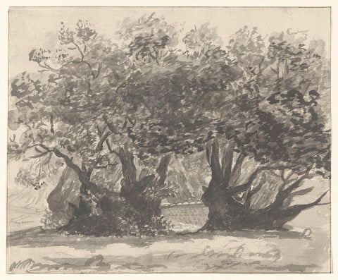 Chestnut tree, so-called Castagno di cento cavalli, on the eastern slope of Mount Etna near Sant' Alfio, Willem Carel Dierkens, 1778 Canvas Print