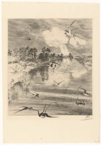 Landscape with swallows in flight above river, Félix Bracquemond, 1860 - 1914 Canvas Print