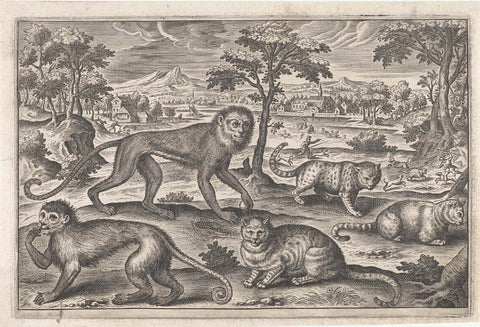 Monkeys and cats, Adriaen Collaert, 1595 - 1652 Canvas Print