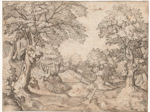 Forest landscape with a stream, Pieter van der Borcht (I), c. 1583 Canvas Print