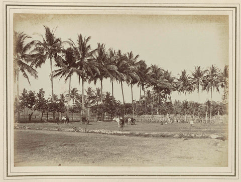 Field with grazing animals, Kassian Céphas, 1886 Canvas Print