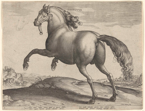 Horse from Spain (Hispanus Alter), Hieronymus Wierix, c. 1583 - c. 1587 Canvas Print