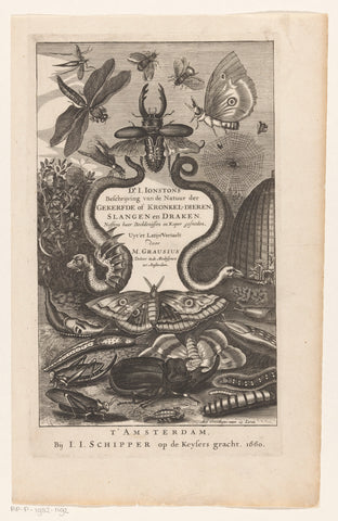 Insects, anonymous, 1660 Canvas Print