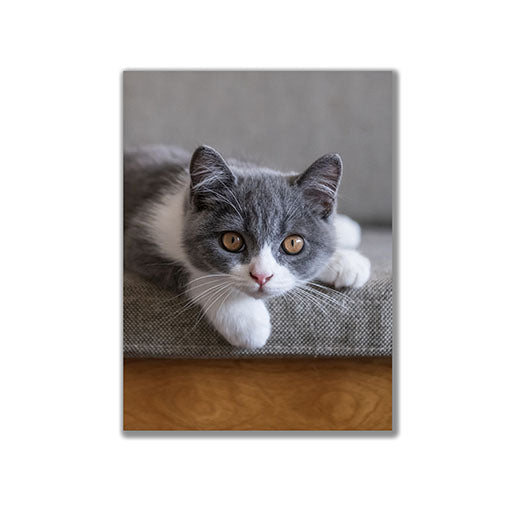 Design Your Own Personalized Horizontal 16 x 24 Canvas Print- Grey