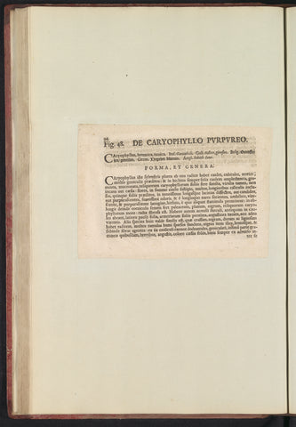 Fig. 48 'De Caryophyllo Pvrpvreo' in De Boodt's herbarium of 1640, Anselm Boëtius de Boodt, 1640 Canvas Print