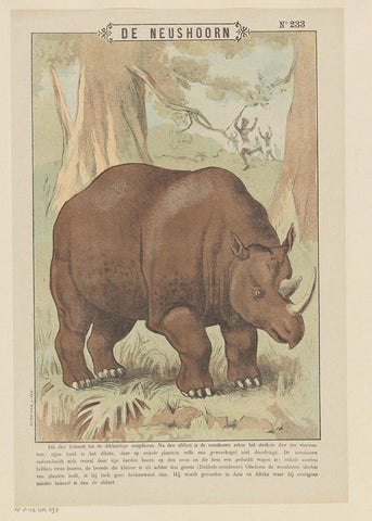 The rhino, Gordinne, 1894 - 1959 Canvas Print