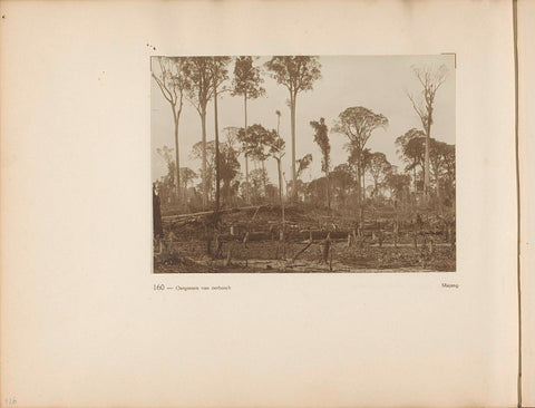 Page 160 of photo book of the General Association of Rubber Planters on the East Coast of Sumatra (AVROS), JW Meyster, c. 1924 - c. 1925 Canvas Print