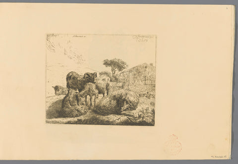 Group of five sheep, Adam von Bartsch, 1805 Canvas Print