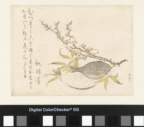 Two Flatfish and Plum, Katsushika Hokusai, c. 1795 - c. 1800 Canvas Print