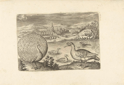 Some birds in a landscape, Adriaen Collaert, 1598 - 1602 Canvas Print