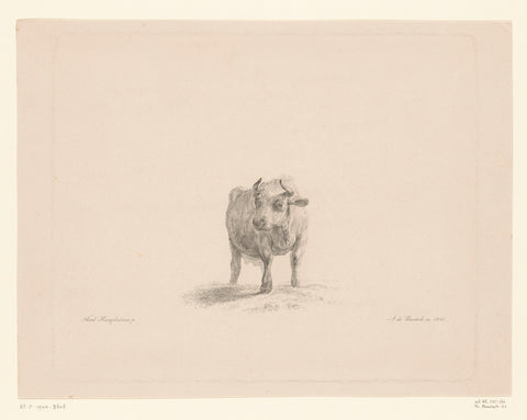 Standing cow, Adam von Bartsch, 1815 Canvas Print